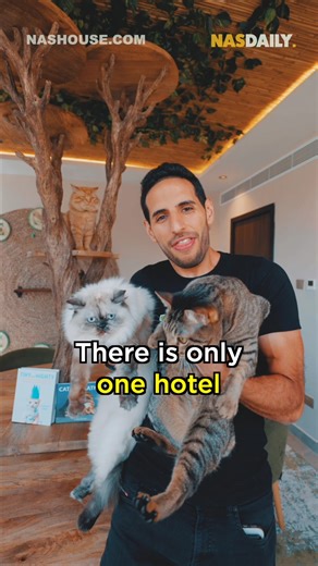 Dubai’s only hotel with a cat room There is only ONE hotel in Dubai that has a cat room. And we built it. Come to Nas House to see the coolest room in Dubai. | Nas Daily