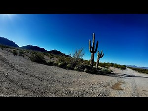 I Survived a 24 Hour Desert Challenge