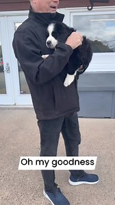 103K views · 378 reactions | When the Nova Scotia SPCA - Dartmouth Shelter asked for a meeting, this is how I dreamt it would be. Hello you.   | Darren Fisher | Facebook