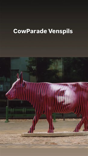 CowParade on Reels