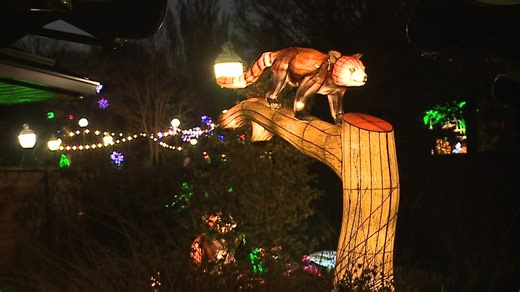 St. Louis Zoo to host 'Animals Aglow Lantern Festival' with over 60 light displays