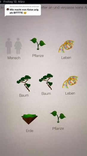 Little Alchemy Wildtier TikTok Video