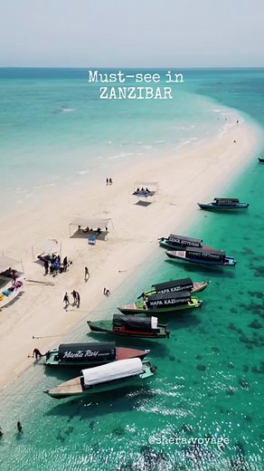 Explore the Paradise of Zanzibar - Pristine Beaches, Rich Culture, and Vibrant Reefs