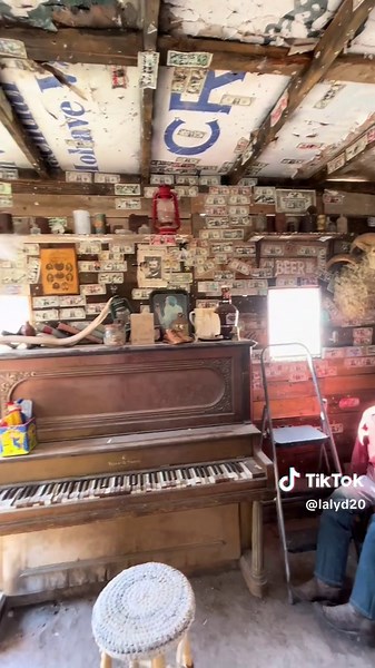 Exploring Oatman, AZ: The Donkey Kingdom