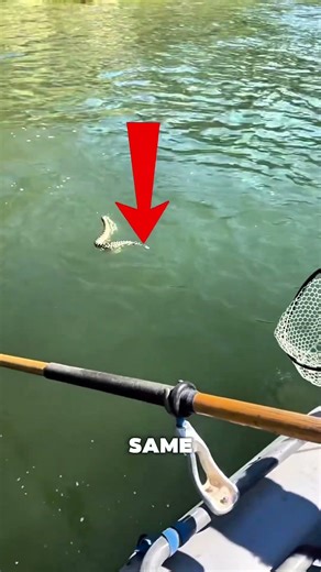 Don’t panic, use the right method