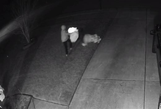 Port Wentworth police seeking individuals seen attacking inflatables, taking decorations
