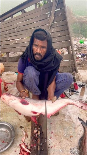 Amezig village original Pangas fish cutting skills ✅✅ #shorts