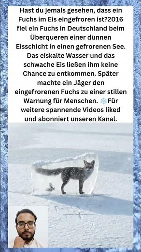 The Frozen Fox – Germany's Shocking Warning 🦊❄️. #viral #shorts