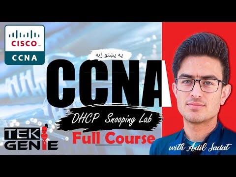 DHCP Snooping Packet Tracer Lab in Pashto | DHCP Starvation, Poisoning & DoS Explained | CCNA