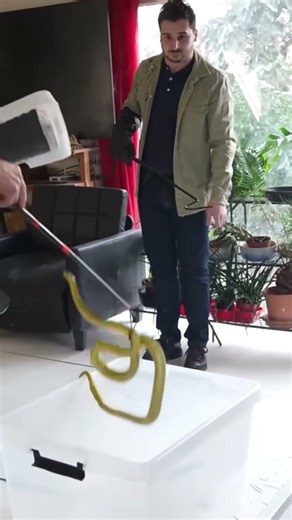 C'est pas passer loin 😱