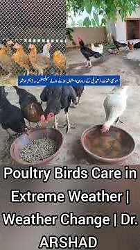 Common Cause of Diarrhea in Pets | Poultry Birds Care in Extreme Weather | Dr. ARSHAD