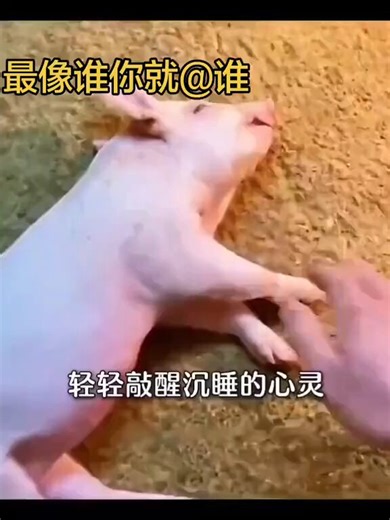 🚀 POLO🚗最近深度体验了 Conso这个项目先说重点，我把他当成一个空投项目去对待Conso 现在对所有 TG 用户的最大福利是：只需日常使用，就能累积 CPs 积分。浏览频道、聊天互动、查看行情、完成简单任务现在都会累积积分。这些 CPs 未来可以兑换生态空投或其他权益。就是说原本就在刷信息、看市场、逛社区，现在同时也在累积生态贡献值。它不会也无法取代 Telegram，而是在 Telegram 的基础上，把 Web3 用户每天要做的事重新梳理了一遍。📰 首先是阅读方式的进化。在 Telegram 里关注几十个频道，阅读其实是一个很零散的过程：点进一个频道 → 看完退出 → 再点下一个。Conso 把这些频道聚合为一条连续的信息流，打开后就像刷 timeline，一路下滑就能看到所有更新。看似只是 UI 的变化，但实际用下来，阅读效率提升非常明显。🔍 对 Web3 用户来说最核心的亮点：CA 信息能智能去分析在群里看到有人发合约地址时，Telegram 的常规流程是：复制 → 打开行情网站 → 再回来翻聊天记录。Conso 会自动识别 CA，直接生成一张代币信息卡，价格、