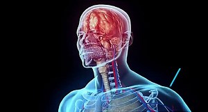 Get Motivated to Exercise