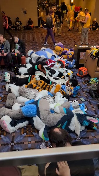 Exploring a 'Normal' Furry Convention Experience