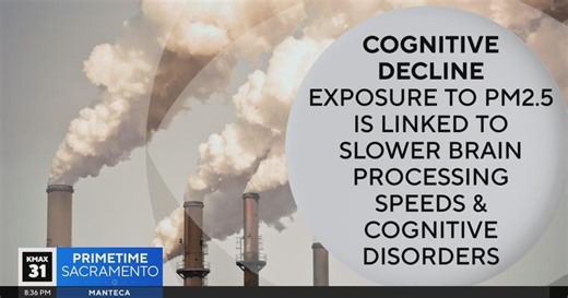 Can air pollution slow our brains? | The Answer