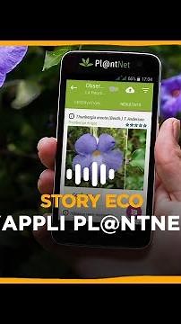 L'Appli Pl@ntNet