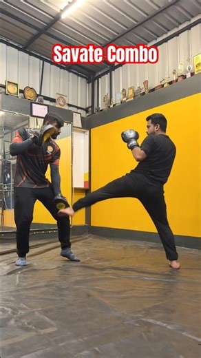 Savate combo for assault and combat