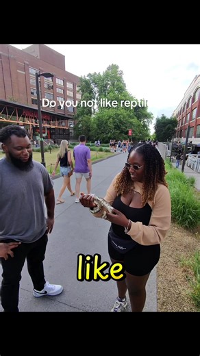 Do you not like reptiles#snake #ballpython #reptile