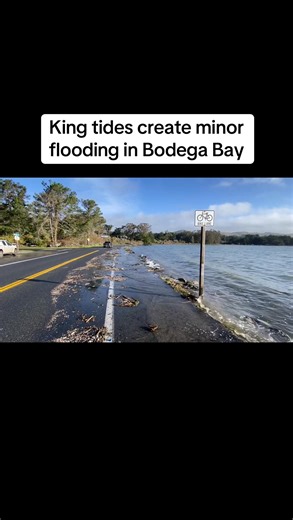 Water laps along West Shore Road in Bodega Bay as king tides peak amid rain and high winds Saturday morning, Jan. 3. (Video by Kent Porter / The Press Democrat) | Press Democrat