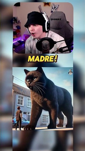 CREATING KIDS 🐈‍⬛