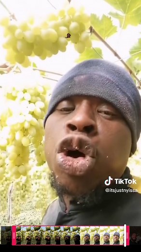 Hilarious Grape Videos that will make you Laugh!