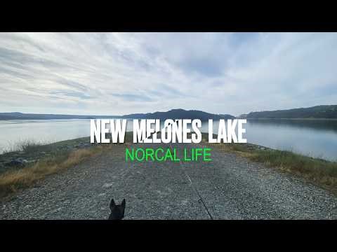 Bass Fishing New Melones with Frankie the Bullterrier (BASS FISHING)