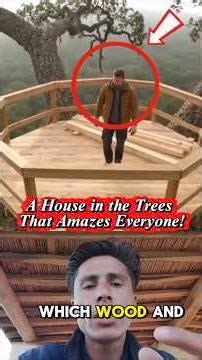 "Amazing Treehouse Built in the Forest – A Dream Come True!"