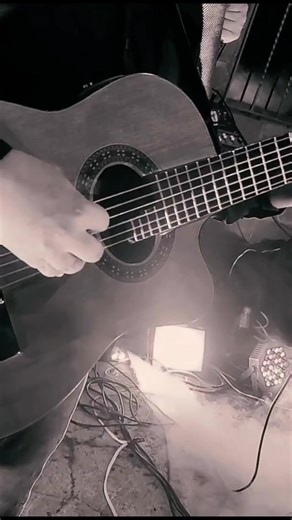 La.pluma del pavo real @GRUPO MUSICAL R2 #grupomusicalr2