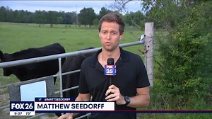 WATCH: Authorities continue looking into the mysterious deaths of at least 6 cattle. Tonight, we met with a private investigator to discuss the odd circumstances surrounding this case. Photographer: Matt Gongora | Matthew Seedorff