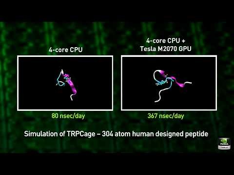 Protein Folding Simulation with AMBER Accelerated with GPUs