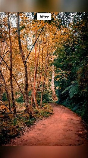 The 2025 Guide to Mastering Tone in Lightroom Editing Today ✨