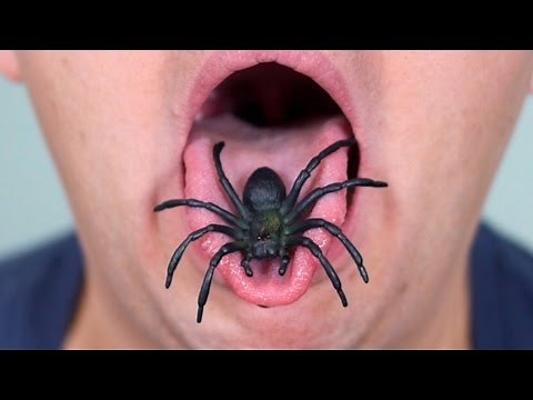 SPIDER IN MOUTH!