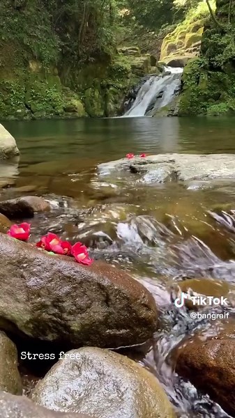 #waterfalls #nature #airterjun #hiking #outdoors #taki #japan #自然 #滝 #赤目48滝