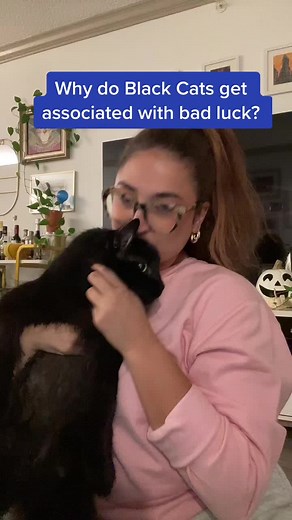 National cat day and Halloween weekend? Time to talk about black cats 🦇#halloween #blackcats #blackcatsoftiktok #pbs #learnontiktok