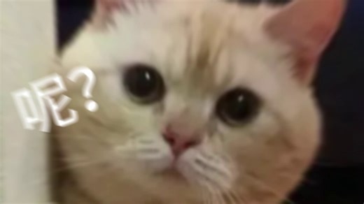 33834盛天B站纯剪辑-18_68649d33782b7