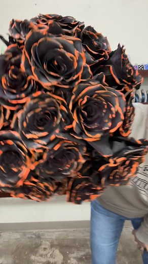 Midnight Elegance was the Halloween rose that got the most votes! 🎃 These fun roses make a cute little spooky gift, wrap one up for a friend, teacher or send a bouquet of them! 👻🎃 Order now before it’s too late 💀 | Jensen's Ferndale Floral
