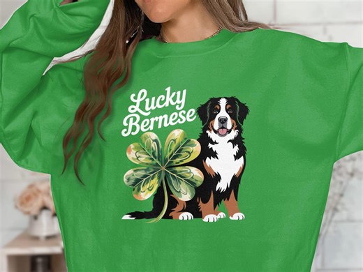 Bernese Mountain Dog T-shirt Sweatshirt: Clover Graphic, St Patrick's Day, Lucky - Etsy