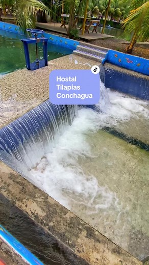 Turicentro con piscinas 100% Naturales en Metapan, en El Salvador #quevisitarenelsalvador #turismo #lugaresparavisitar #ElSalvador #karlyblog #Turicentro #travel #recomendaciones #piscinas #hostal #tilapias #Conchagua #paraisosturisticos #lugaresincreibles