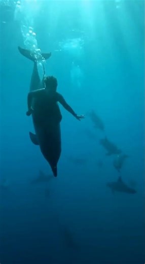 ۲۸ دسامبر ۲۰۲۵