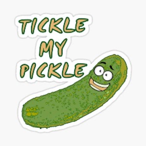 thepickle_tickler - Twitch