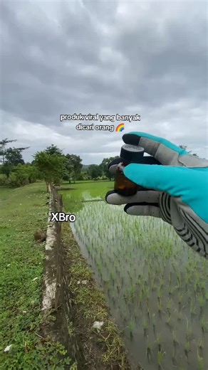 Premium Essential Oil Diffuser Refill Package