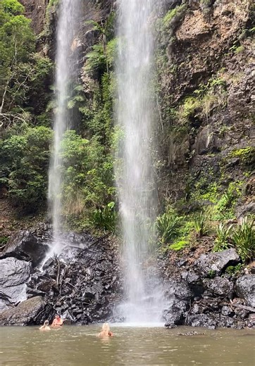 A dreamy waterfall in Springbrook national park #waterfall #nationalpark #queenslander #roadtrip #hiking #nature #naturevibes #naturelove #australia