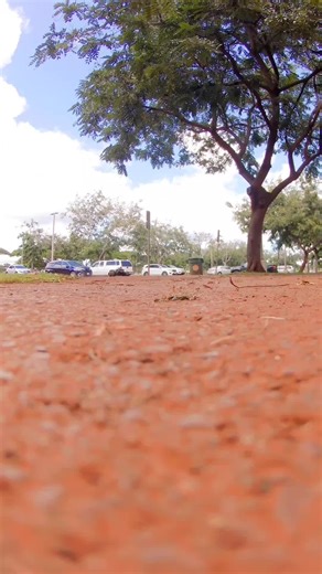 ARRMA Outcast 4S and NOTORIOUS BLX 6S: Ultimate RC Bashing Machines!