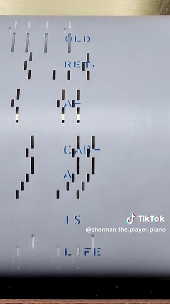 Cabaret. sing the lyrics from the bottom up #shermantheplayerpiano #singalong #cabaret #lizaminnelli #fyp #music #piano #karoake #duet