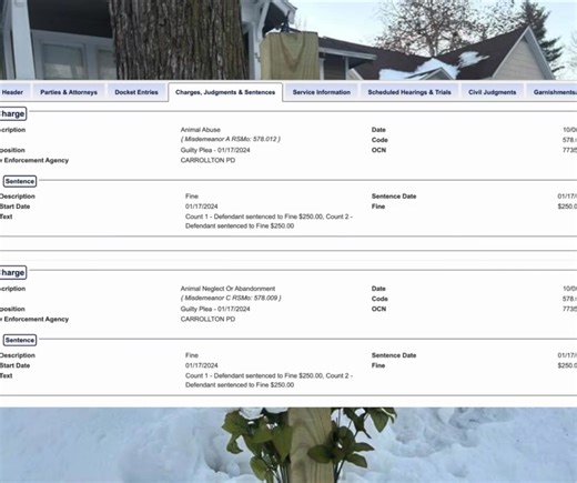 12K views · 134 reactions | Dog Shot and killed by an officer from...