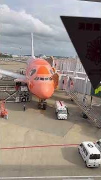 ANA Flying Honu on the return flight from Hawaii to Narita in September 2025 #travel #Hawaii #ana...