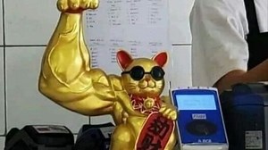 【FunnyPunk2】专治不开心！国外趣味视频集锦#229_哔哩哔哩_bilibili