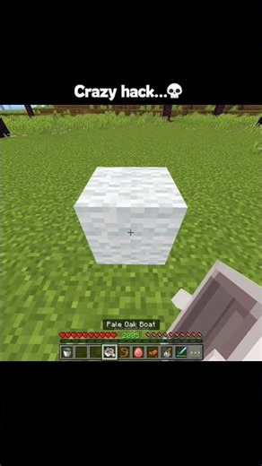 Minecraft sulfur cube fly hack moments