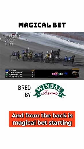Clive Cohen - New Image Media on Instagram: "Bob McClure guided Magical Bet to his 10th career victory on Saturday night at Woodbine Mohawk Park for trainer Kyle Fellows."