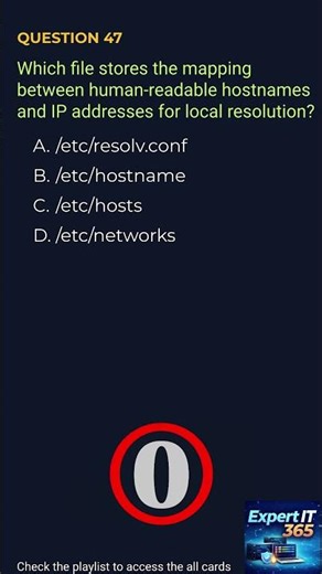 Local DNS: The Hosts File 🌐